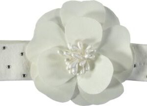 Le chic haarband cream